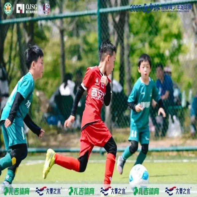 转会市场趋势观察:数据视角第379组洞察分析